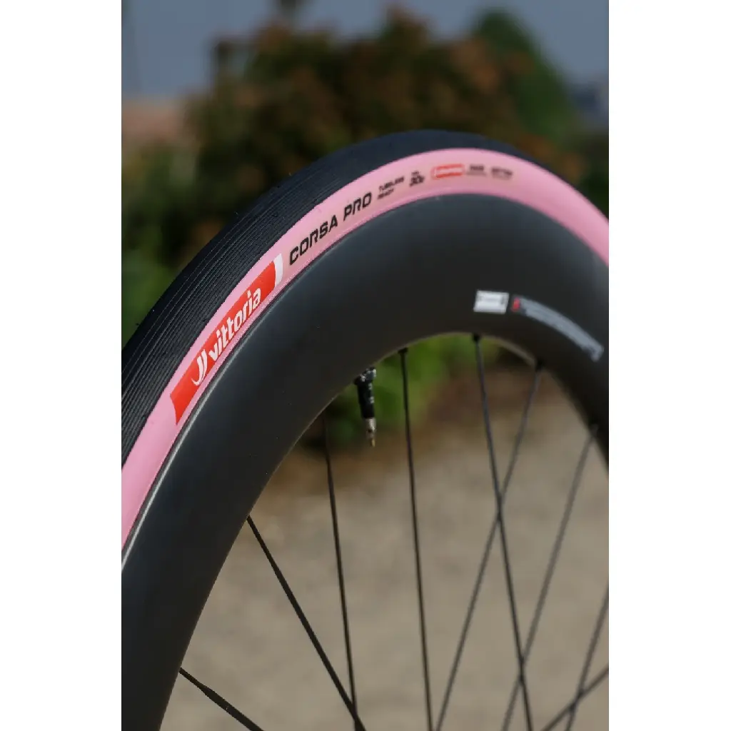 corsa-pro-pink-edition-19-2070202.webp