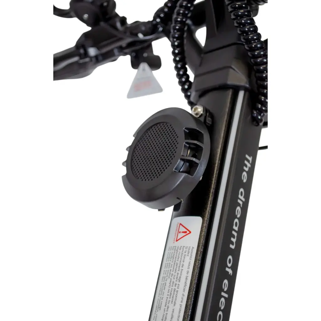 TROTTINETTE ELECTRIQUE DUALTRON VICTOR LT.webp